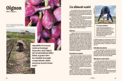 Un potager haut en couleur