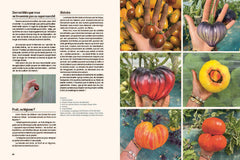 Un potager haut en couleur
