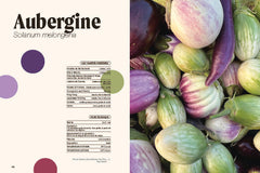 Un potager haut en couleur