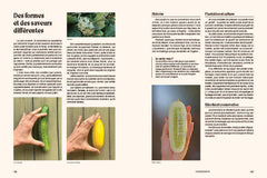 Un potager haut en couleur