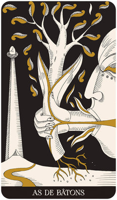 Coffret Le Tarot des secrets de l'âme