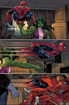 Spider-Man : Gang War