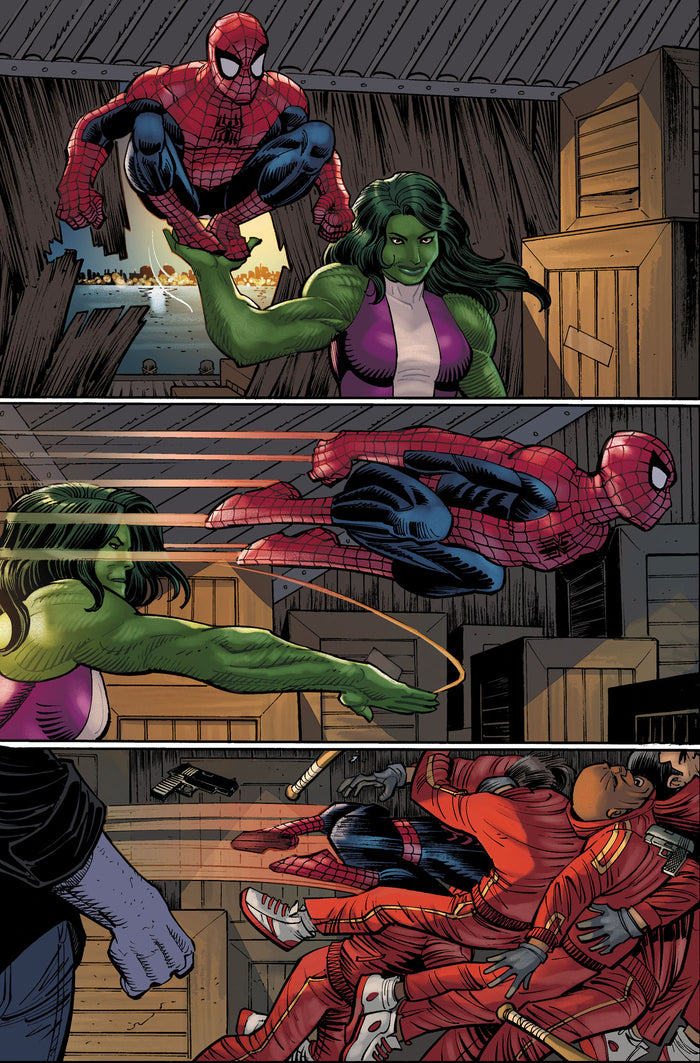 Spider-Man : Gang War