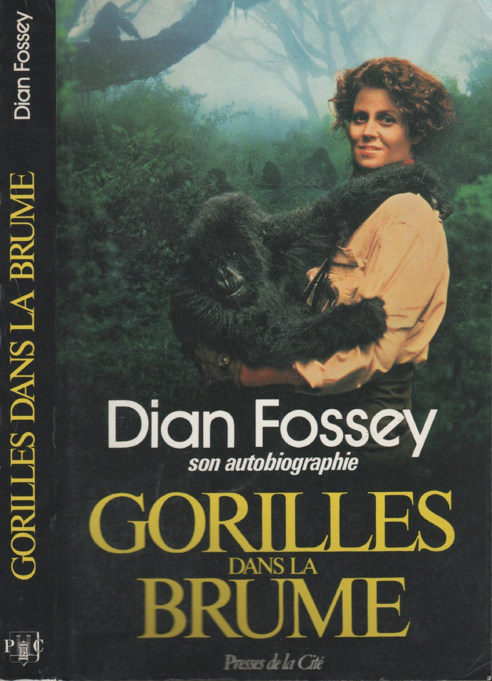 Gorilles dans la brume