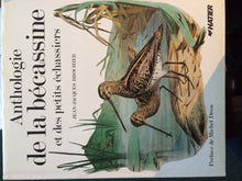 Anthologie de la bécassine