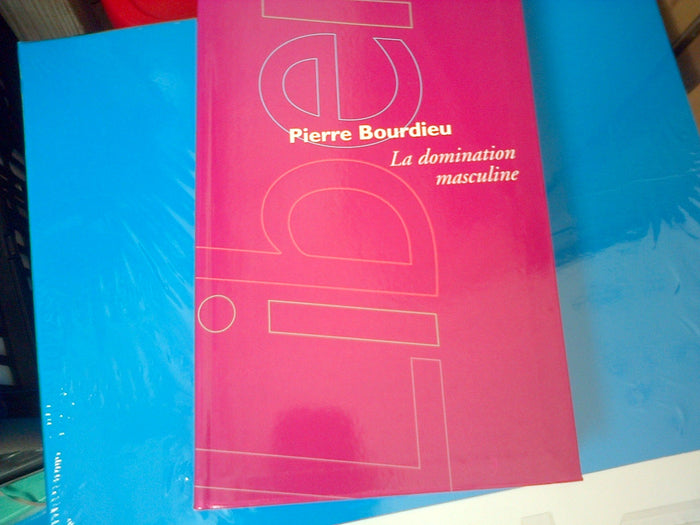 la domination masculine