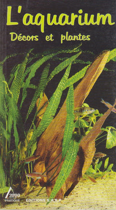 L'aquarium: Décors et plantes