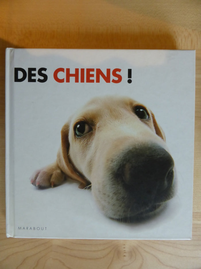 Des chiens !