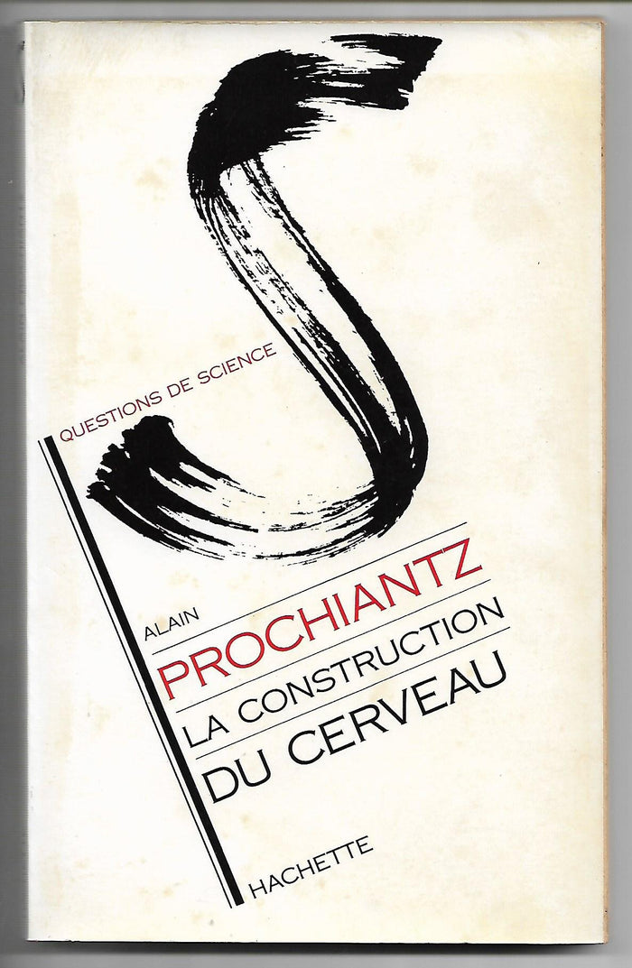 La construction du cerveau