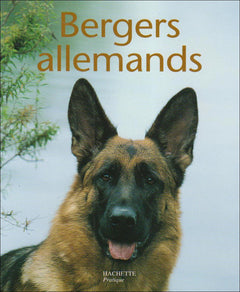 Bergers allemands