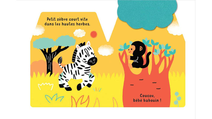 Cache-cache petit zèbre