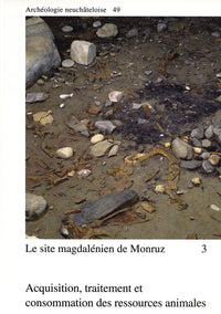 Le site magdalénien de Monruz 3