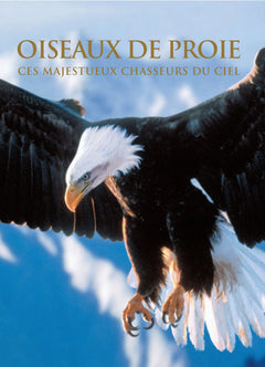 Oiseaux de proie: Ces majestueux chasseurs du ciel