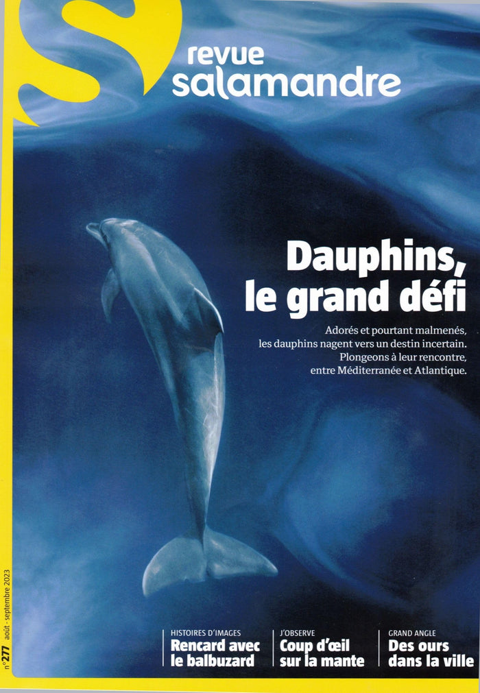 Revue La Salamandre N°277