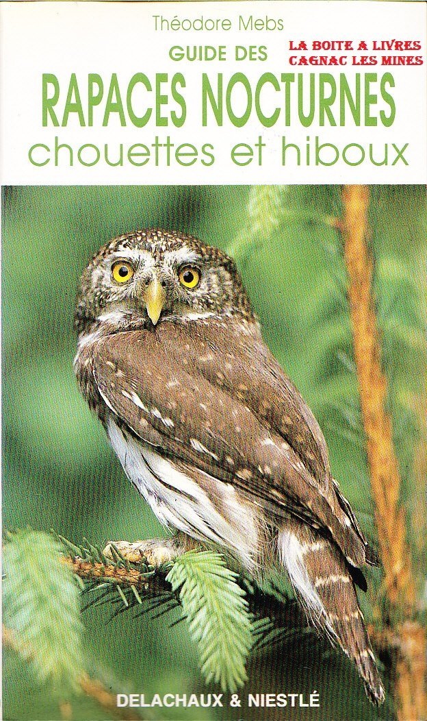 Guide Des Rapaces Nocturnes Chouettes & Hiboux