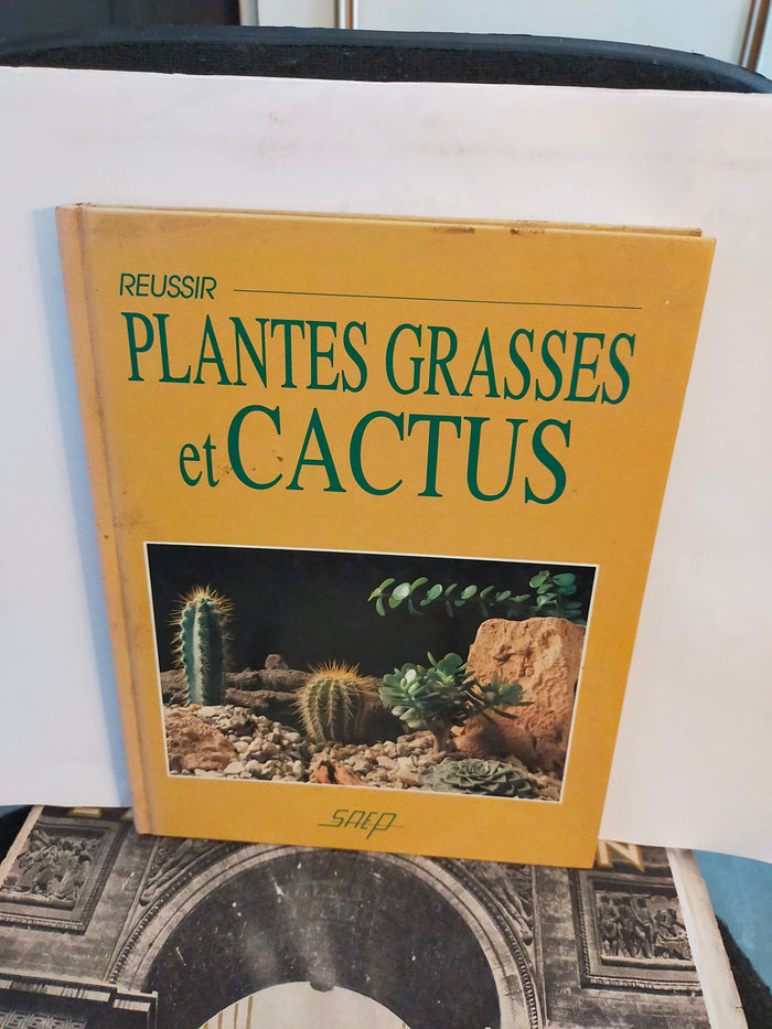 Réussir plantes grasses et cactus
