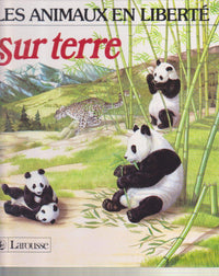 Sur terre