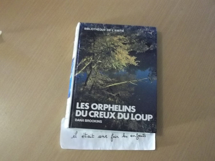 Les Orphelins du Creux du Loup (Bibliothèque de l'amitié)