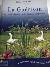 La guérison se cueille dans le jardin fleuri de l'espérance