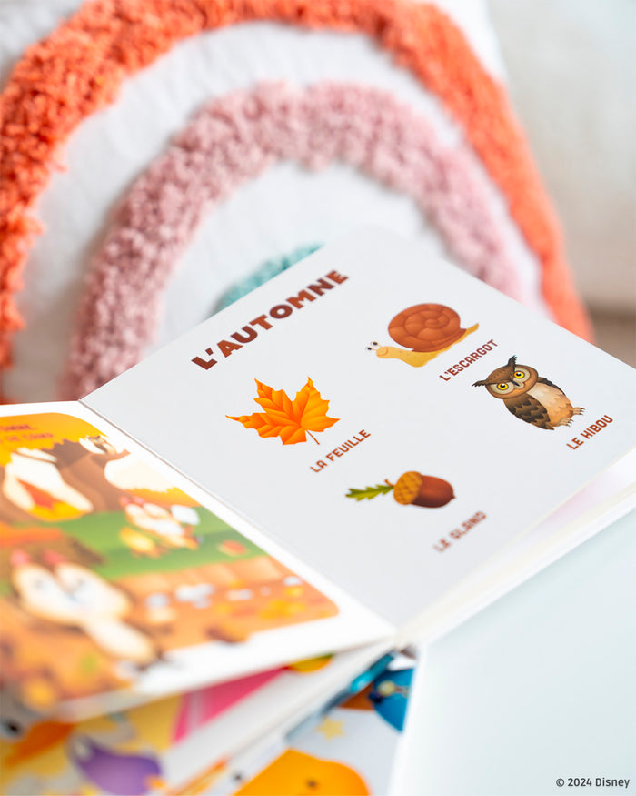 Mes premiers imagiers - Les saisons