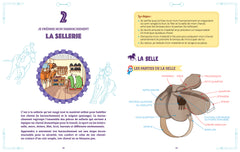 Passe tes galops 1 et 2 - Guide pour réussir les examens théoriques et pratiques