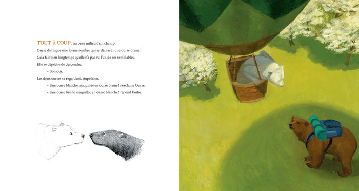 Un refuge pour Ourse