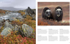 Parcs nationaux scandinaves