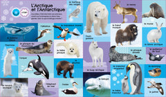 Mon livre sonore - 175 sons animaux