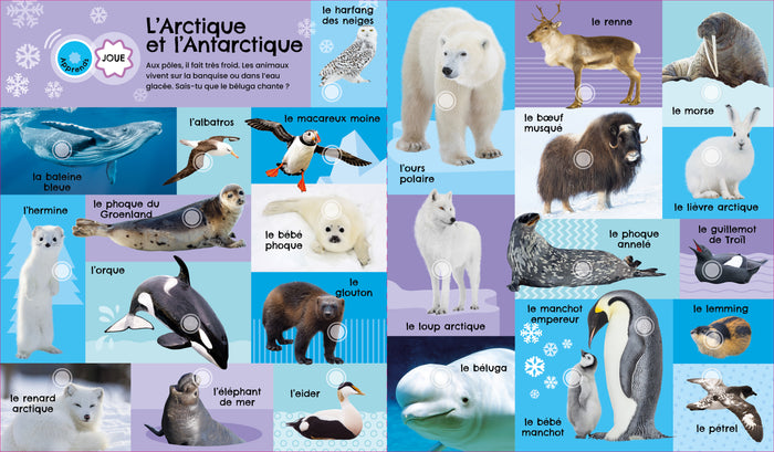 Mon livre sonore - 175 sons animaux