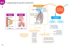 Anatomie physiologie - Cartes mentales - Diplôme Aide-Soignant - DEAS