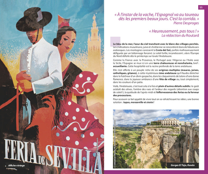 Guide du Routard Andalousie 2024/25