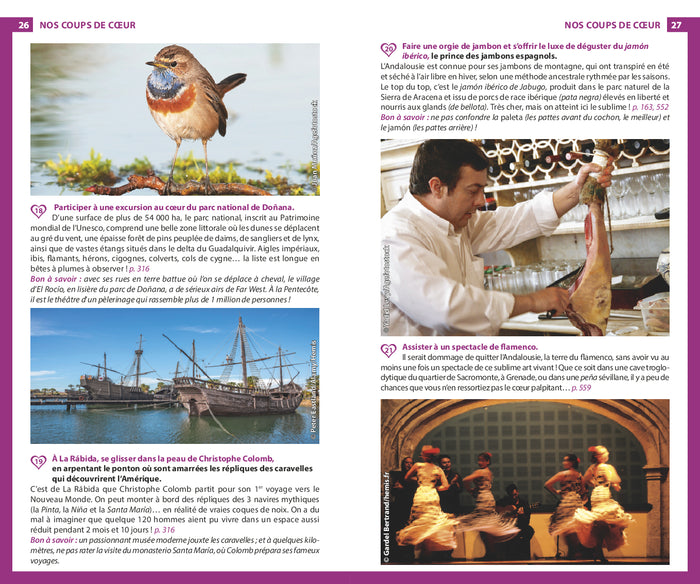 Guide du Routard Andalousie 2024/25