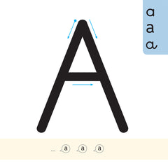 Lettres et Cie - Français PS-MS-GS-CP - Ed. 2024 - Abécédaire - Album