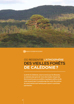 Ecosse - Les clés pour bien voyager