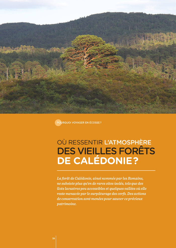 Ecosse - Les clés pour bien voyager