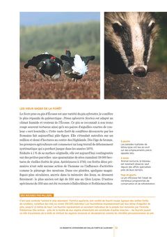 Ecosse - Les clés pour bien voyager