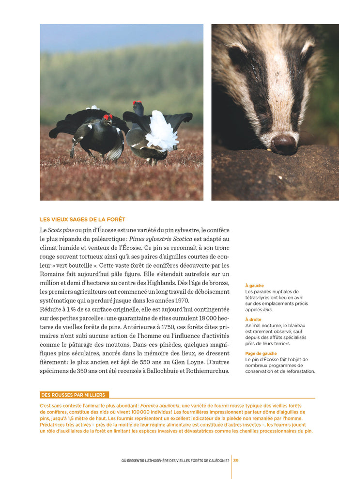 Ecosse - Les clés pour bien voyager