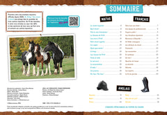 Cahier de vacances AU GALOP du CM1 au CM2 (REV)