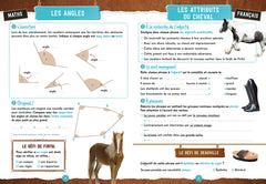 Cahier de vacances AU GALOP du CM1 au CM2 (REV)