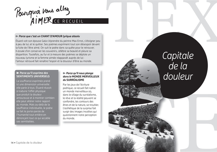 Capitale de la douleur (lecture cursive 1re - Bac de français)