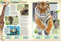 Guinness World Records 2025: 70e anniversaire