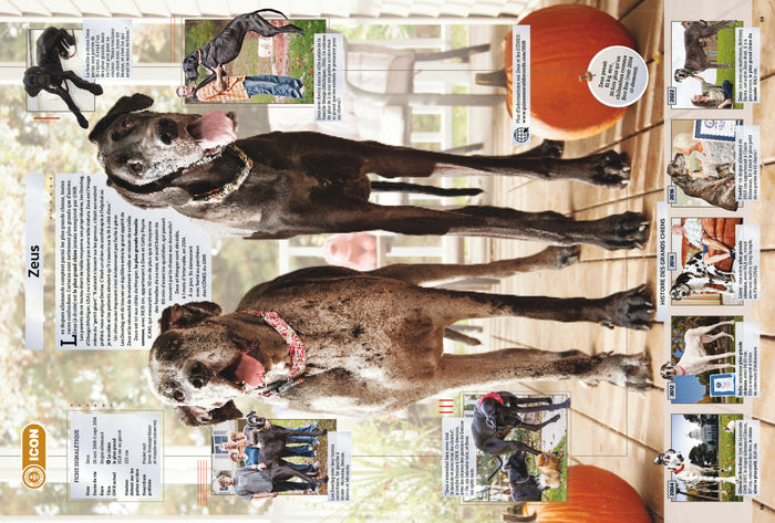 Guinness World Records 2025: 70e anniversaire