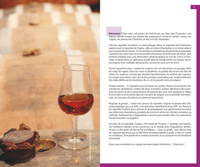 Guide du routard Oenotourisme en Charentes