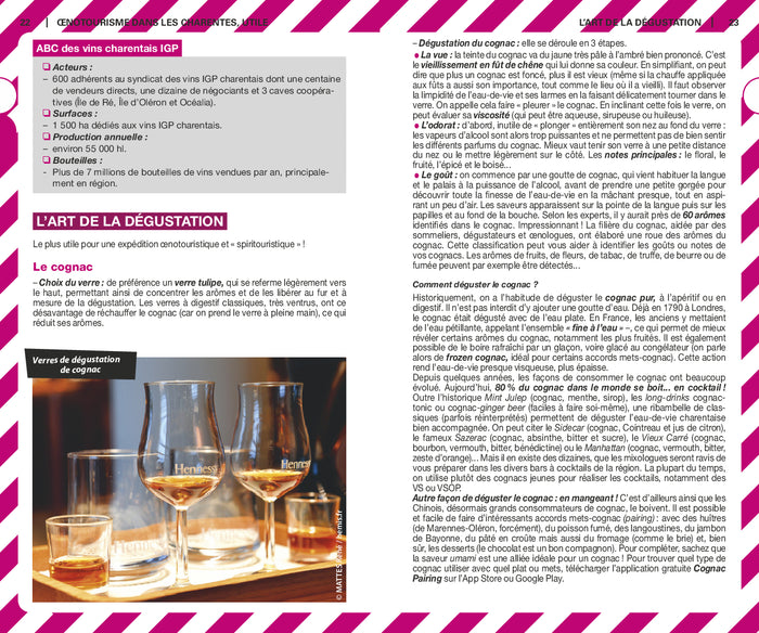 Guide du routard Oenotourisme en Charentes