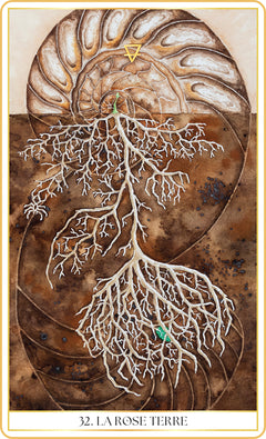 L'oracle des roses médecine