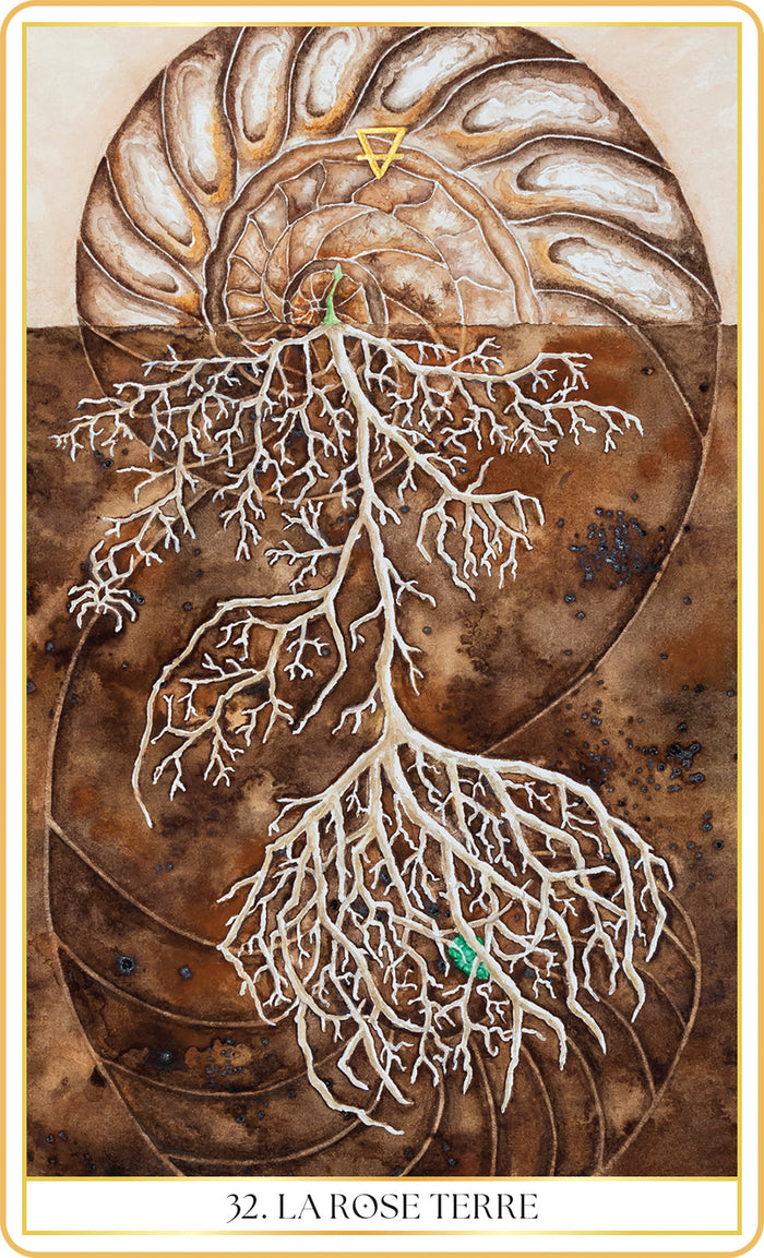 L'oracle des roses médecine