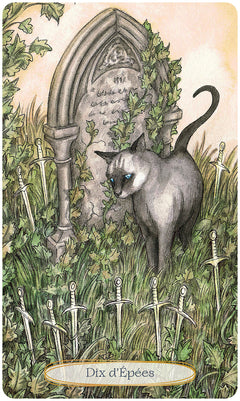 Le tarot spirituel des chats