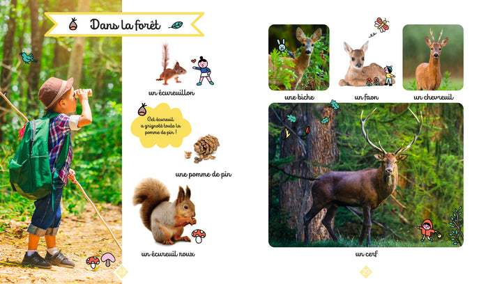 Le grand imagier photos des animaux