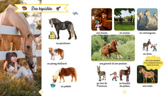 Le grand imagier photos des animaux