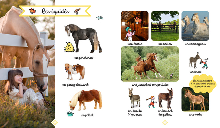 Le grand imagier photos des animaux